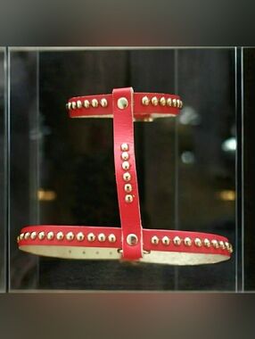 Red Studded Leather Pet Harness Collar -14